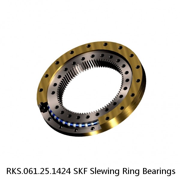 RKS.061.25.1424 SKF Slewing Ring Bearings