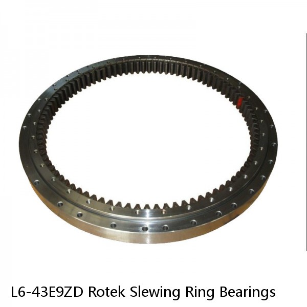 L6-43E9ZD Rotek Slewing Ring Bearings