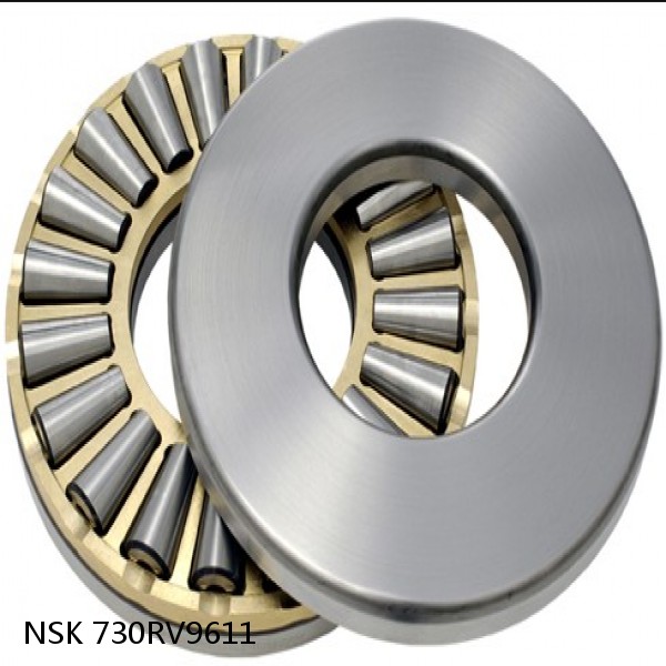 730RV9611 NSK Four-Row Cylindrical Roller Bearing