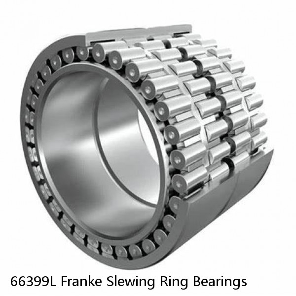 66399L Franke Slewing Ring Bearings