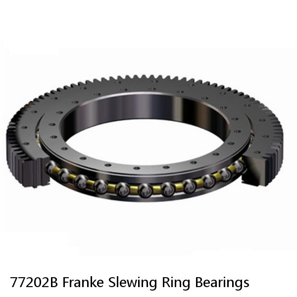 77202B Franke Slewing Ring Bearings