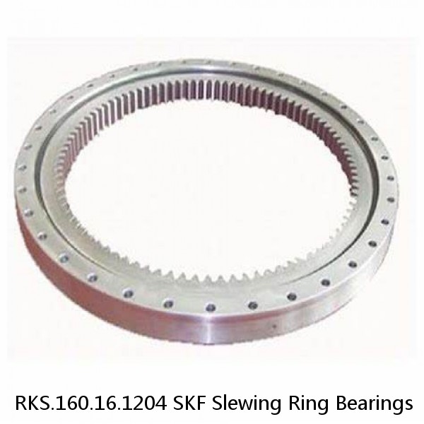 RKS.160.16.1204 SKF Slewing Ring Bearings