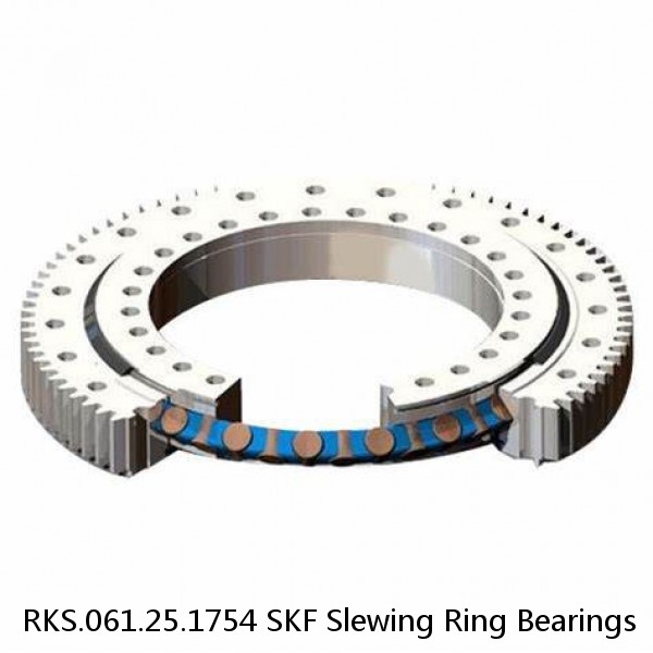 RKS.061.25.1754 SKF Slewing Ring Bearings