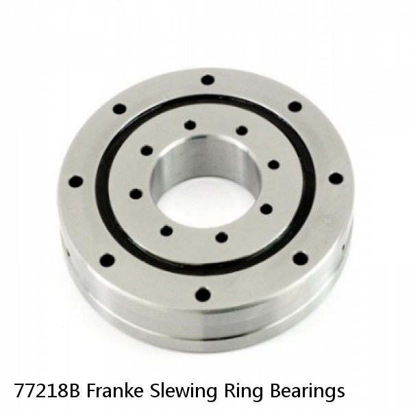 77218B Franke Slewing Ring Bearings