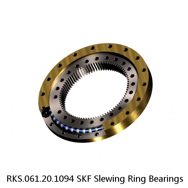 RKS.061.20.1094 SKF Slewing Ring Bearings