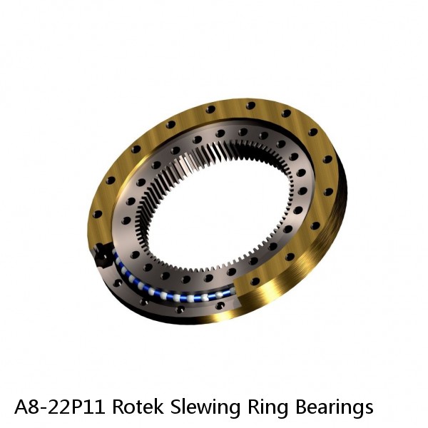 A8-22P11 Rotek Slewing Ring Bearings