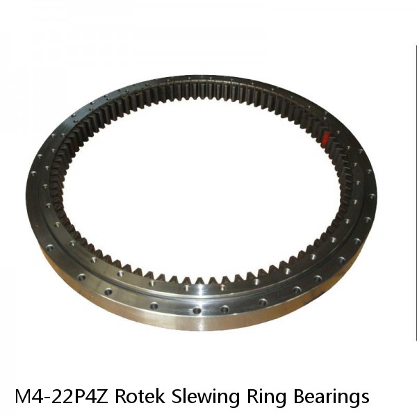 M4-22P4Z Rotek Slewing Ring Bearings