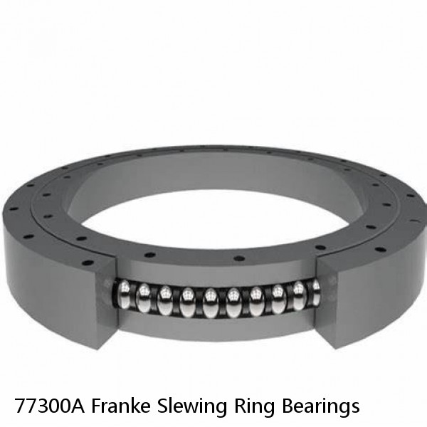 77300A Franke Slewing Ring Bearings