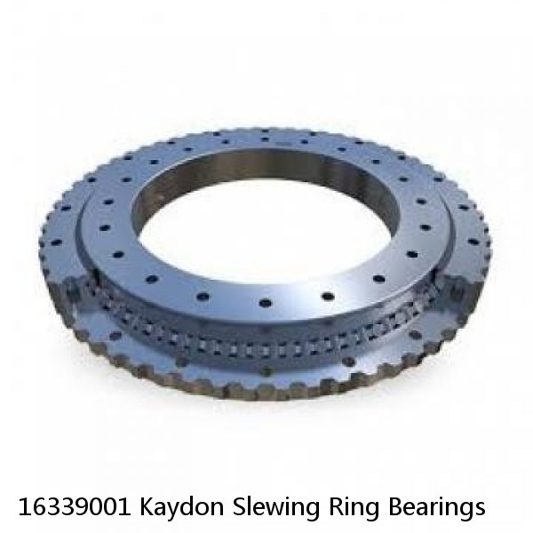 16339001 Kaydon Slewing Ring Bearings