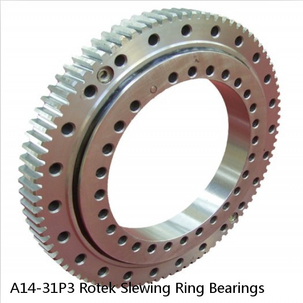 A14-31P3 Rotek Slewing Ring Bearings