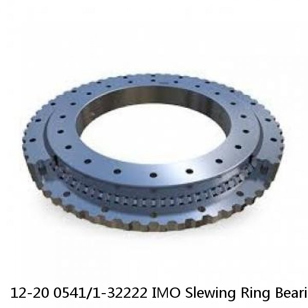 12-20 0541/1-32222 IMO Slewing Ring Bearings