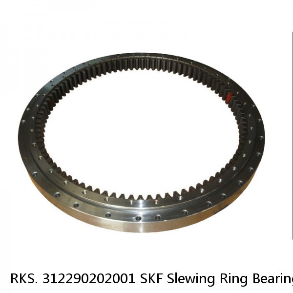 RKS. 312290202001 SKF Slewing Ring Bearings