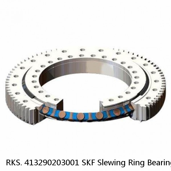 RKS. 413290203001 SKF Slewing Ring Bearings