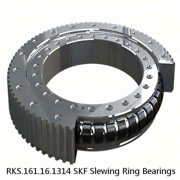 RKS.161.16.1314 SKF Slewing Ring Bearings