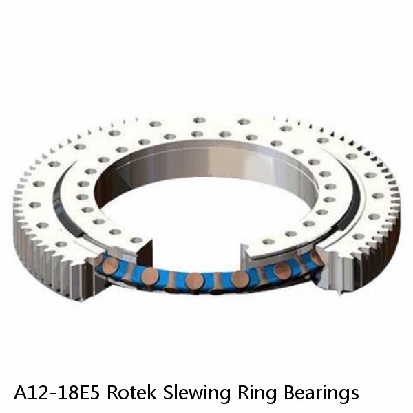 A12-18E5 Rotek Slewing Ring Bearings