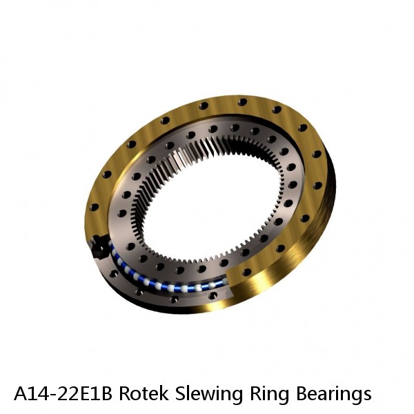 A14-22E1B Rotek Slewing Ring Bearings