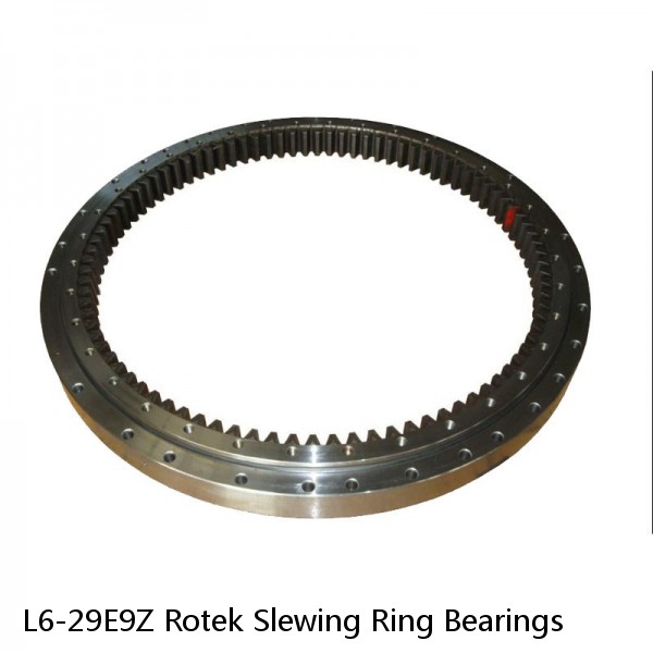 L6-29E9Z Rotek Slewing Ring Bearings