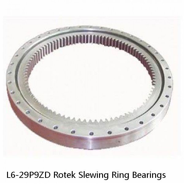 L6-29P9ZD Rotek Slewing Ring Bearings