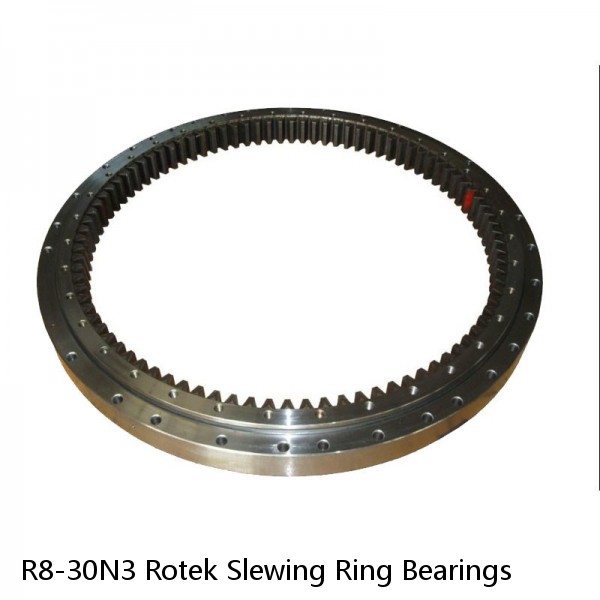 R8-30N3 Rotek Slewing Ring Bearings