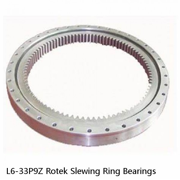 L6-33P9Z Rotek Slewing Ring Bearings