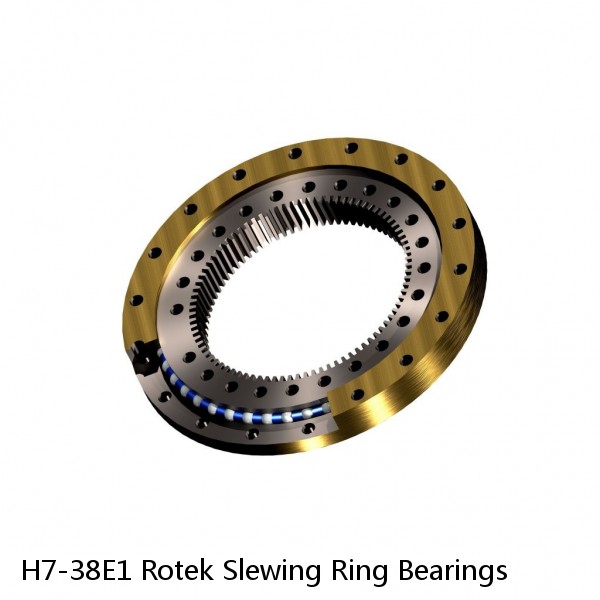 H7-38E1 Rotek Slewing Ring Bearings