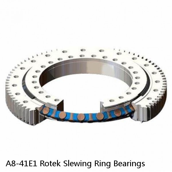 A8-41E1 Rotek Slewing Ring Bearings