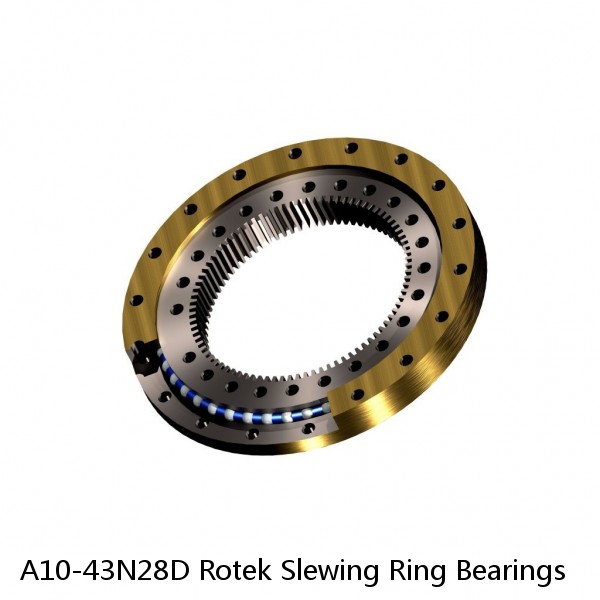 A10-43N28D Rotek Slewing Ring Bearings