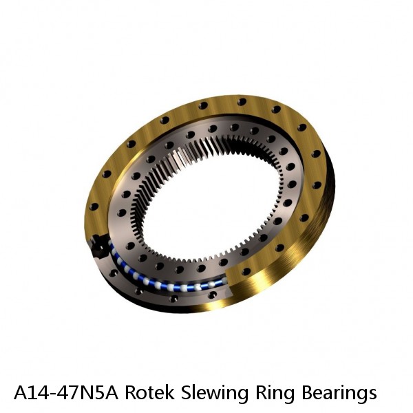 A14-47N5A Rotek Slewing Ring Bearings