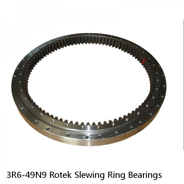 3R6-49N9 Rotek Slewing Ring Bearings